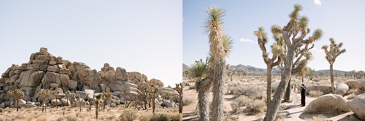 the desert at a Joshua Tree elopement