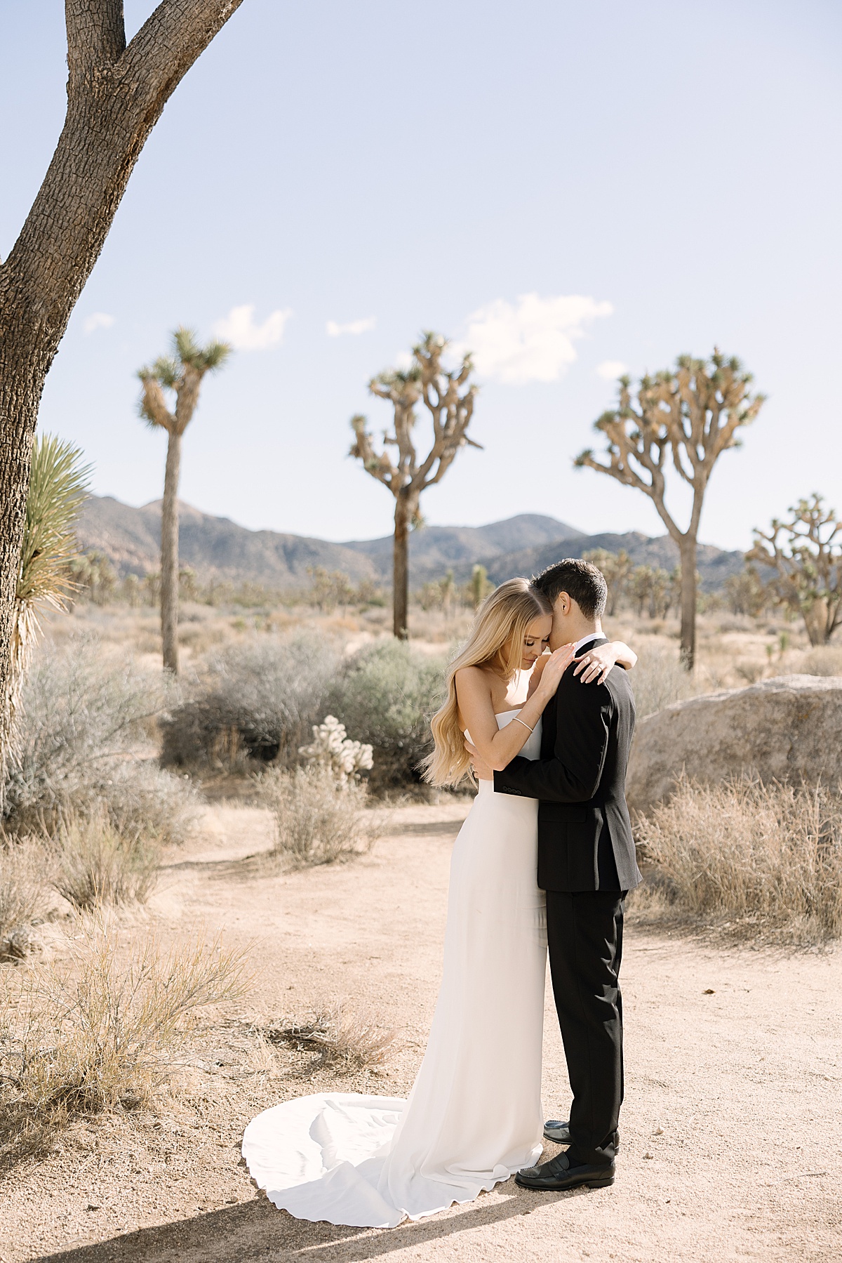 a bride in a strapless white long gown and groom in an all black suit at their Joshua Tree elopement