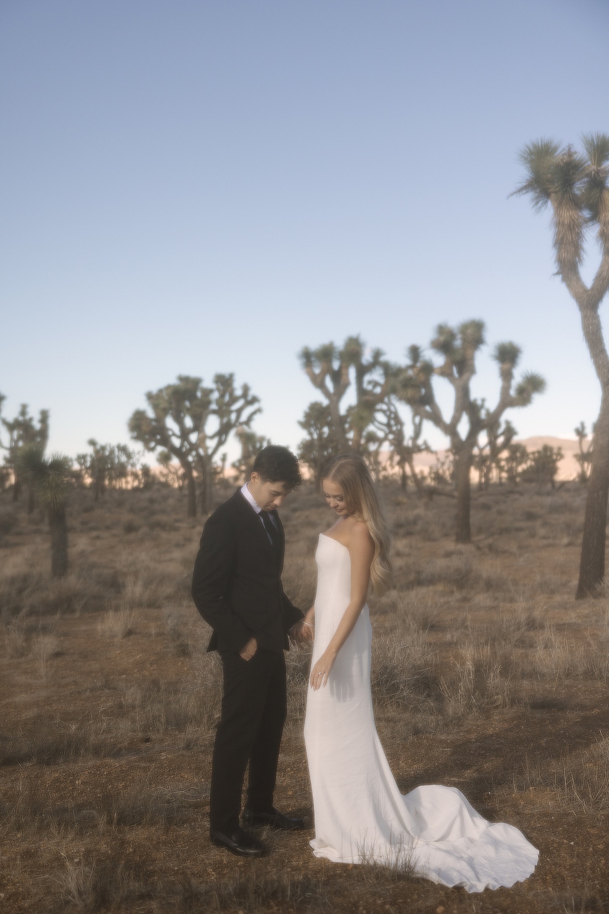 a bride in a strapless white long gown and groom in an all black suit at their Joshua Tree elopement